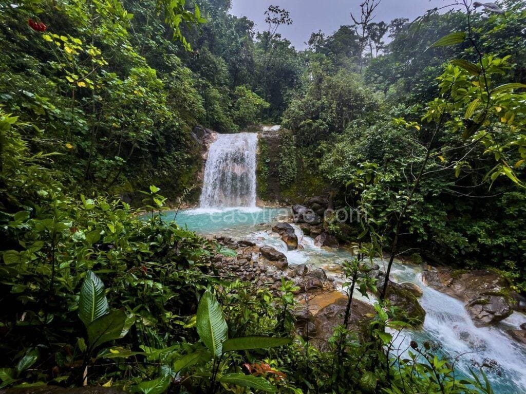 Costa Rica Rainforest