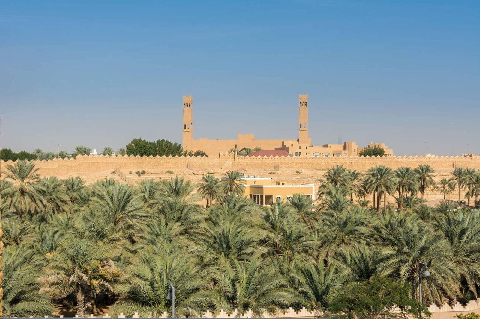 Date palm groves in Al-Ahsa Oasis, Eastern Province, Saudi Arabia.