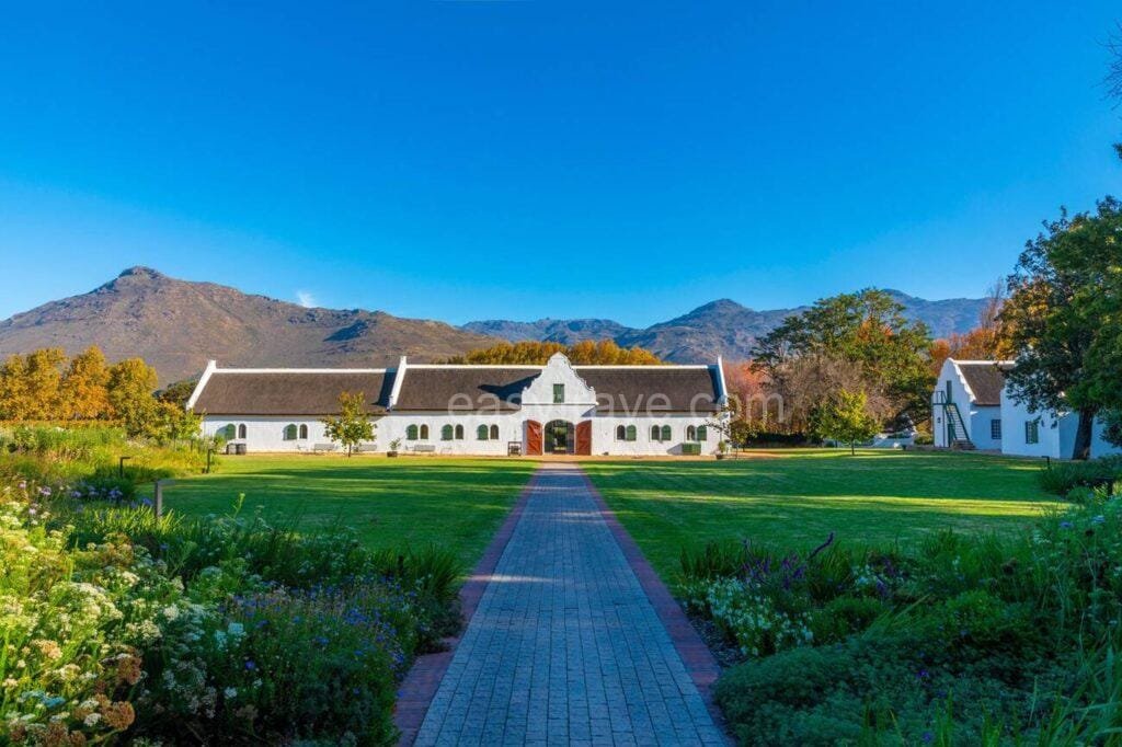 Franschhoek Vineyards