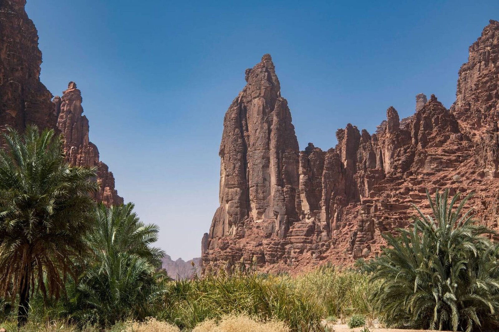 Rock formations and palm trees in Wadi Disah, Tabuk, Saudi Arabia