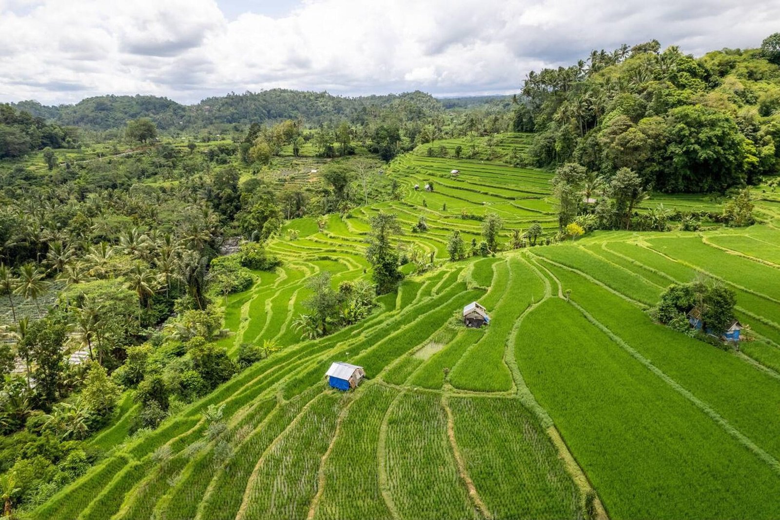 Rice fields and mountains in Sidemen Valley, Bali.
