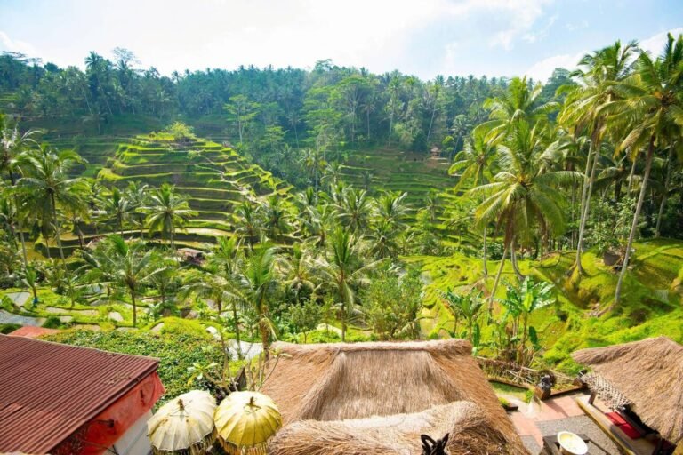Lush green rice terraces at Tegalalang in Ubud, Bali.