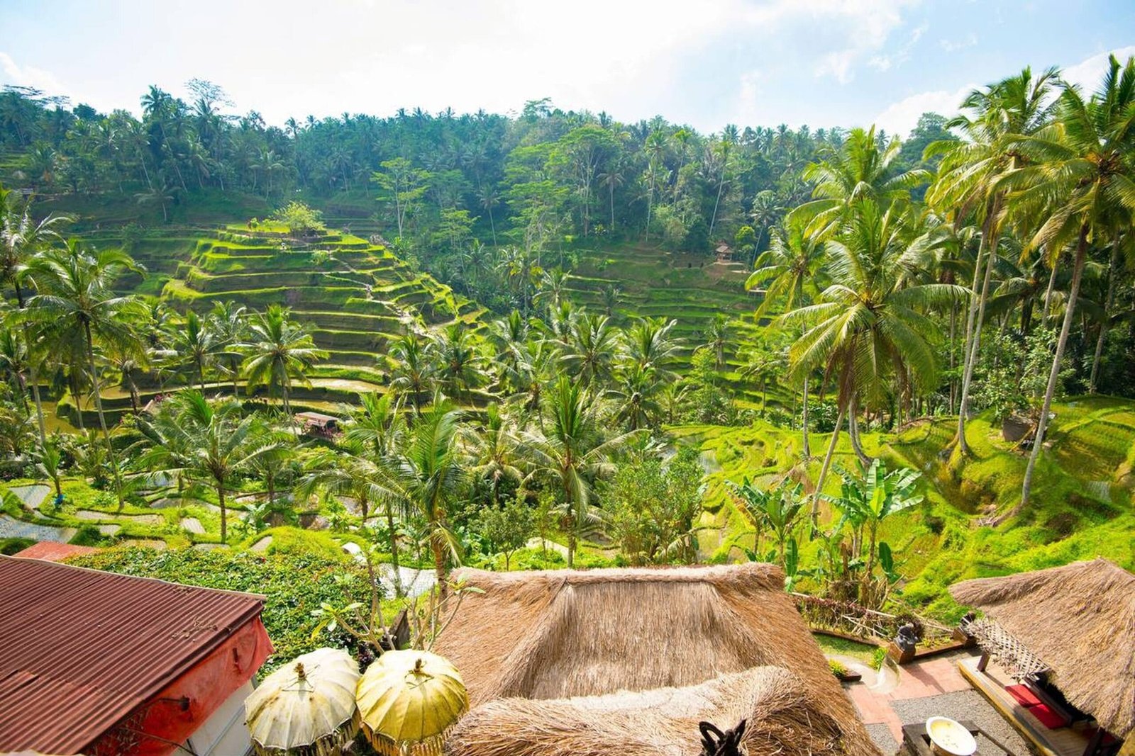 Lush green rice terraces at Tegalalang in Ubud, Bali.