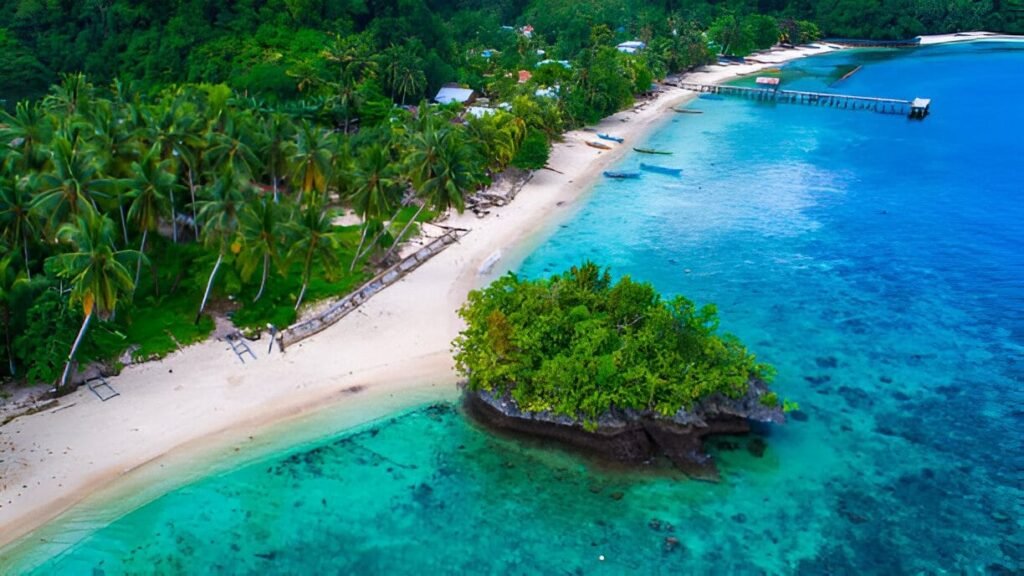 A serene beach in Bali with turquoise waters and palm trees